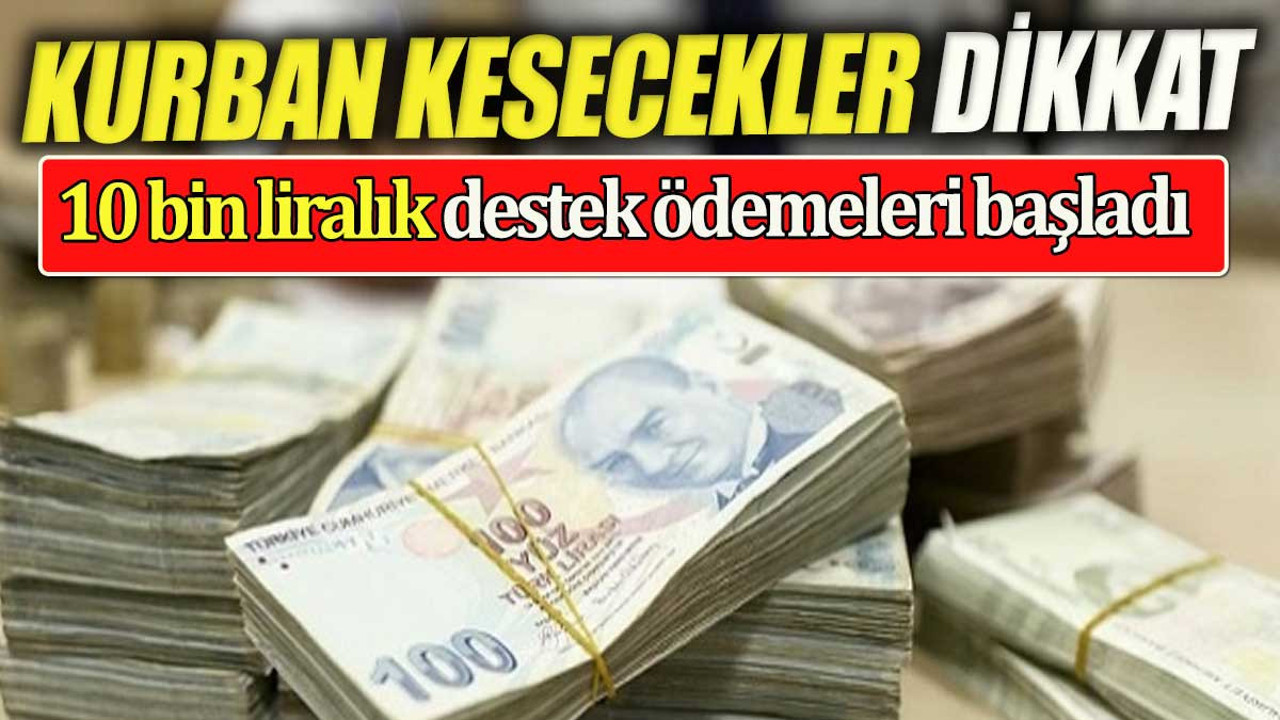 Kurban kesecekler dikkat. 10.000 lira destek ödemesi başladı