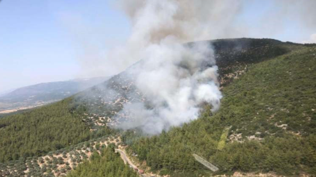 Muğla'daki orman yangınının nedeni yine şaşırtmadı
