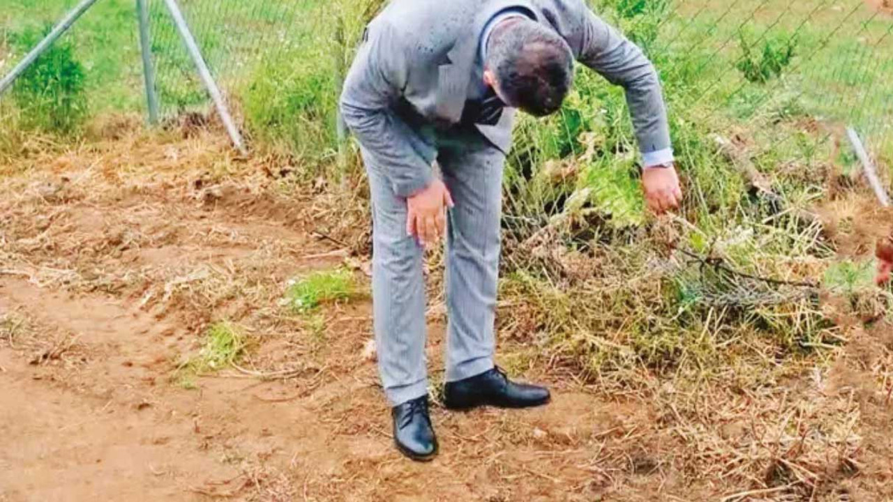 Geliri kız öğrencilere bağışlanacaktı. Çilek tarlasını çaldılar