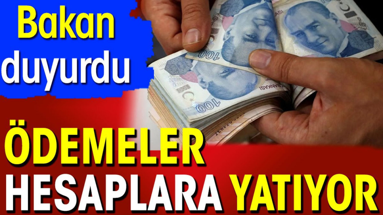 Ödemeler hesaplara yatıyor. Bakan duyurdu (15 Haziran 2024)