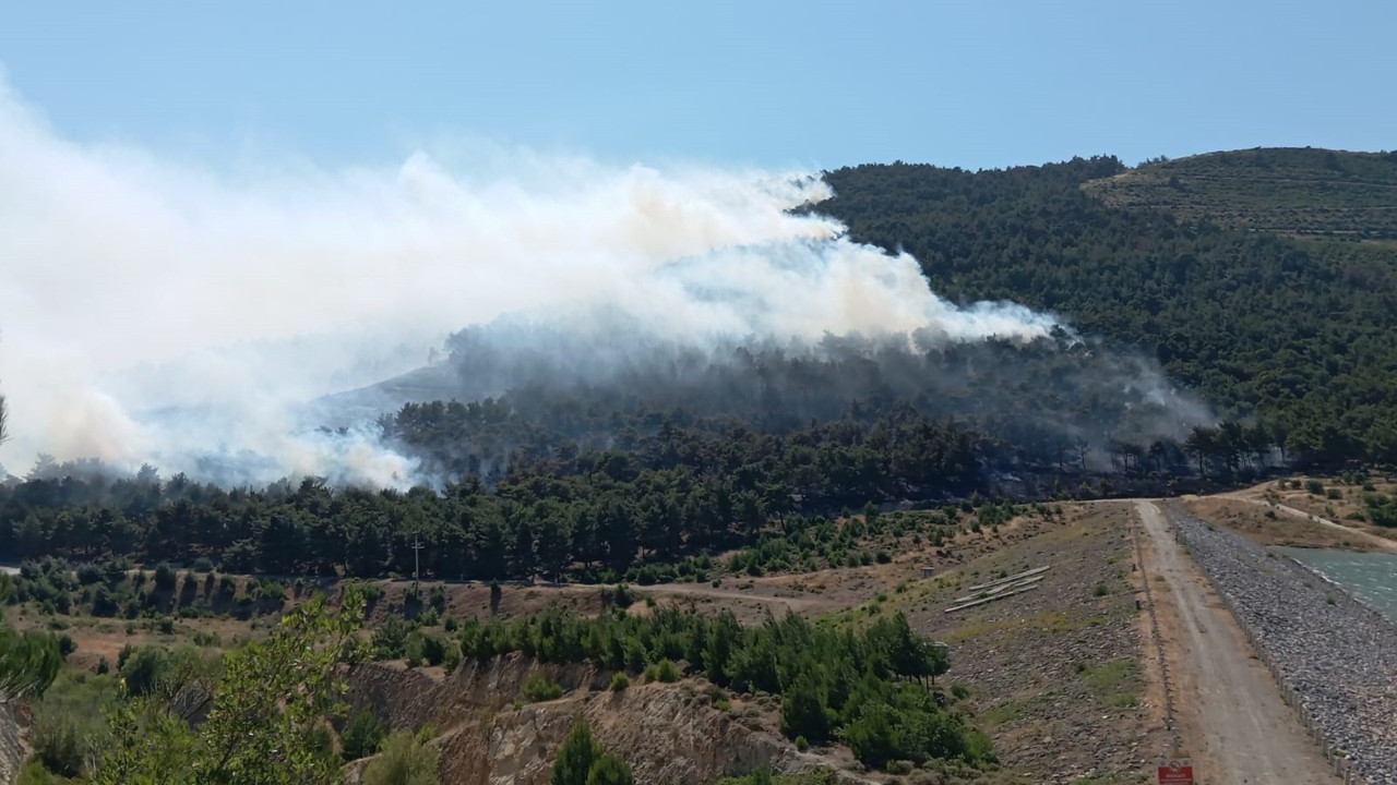 Manisa'daki yangın kontrol altına alındı (20 Haziran 2024)