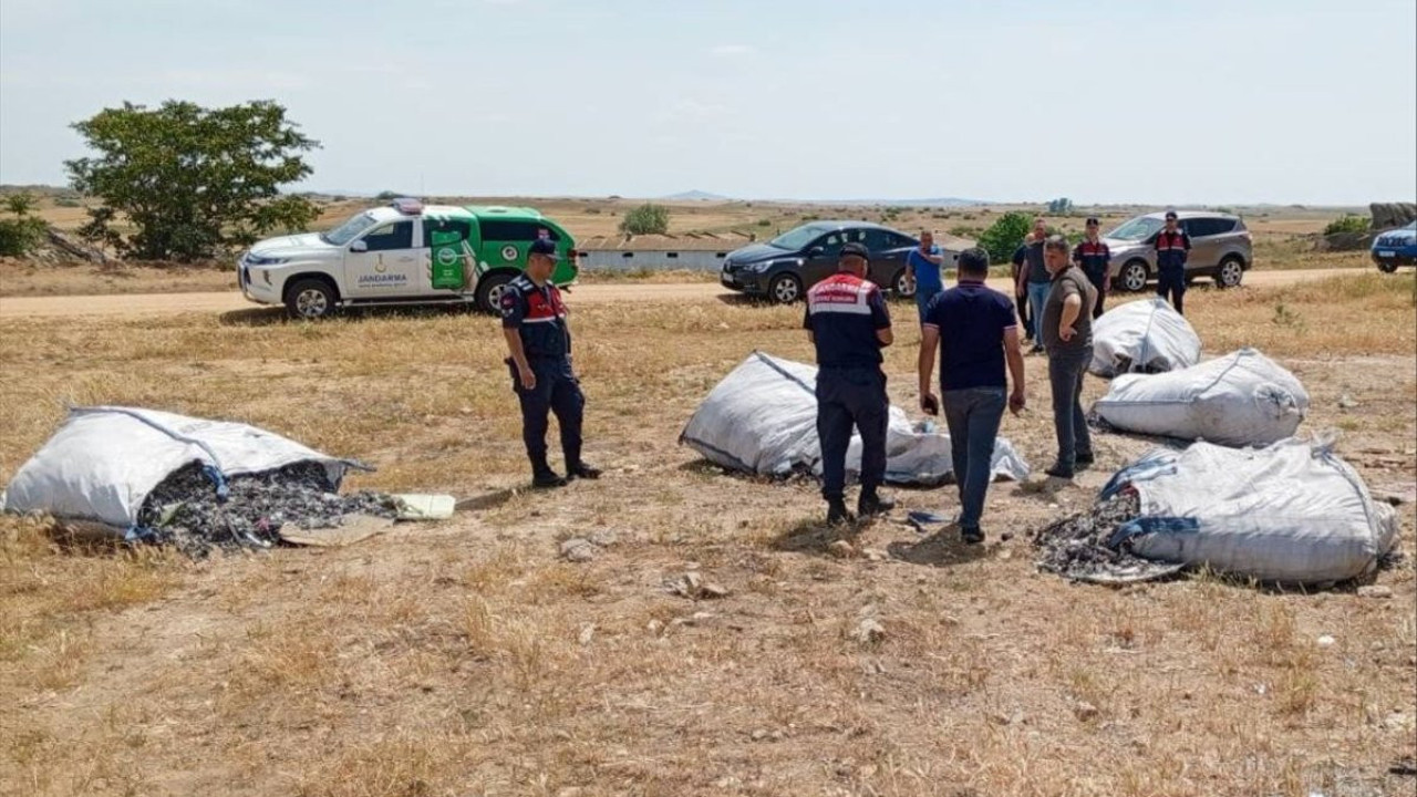 Merayı kirletti hem para ve temizleme cezası yedi