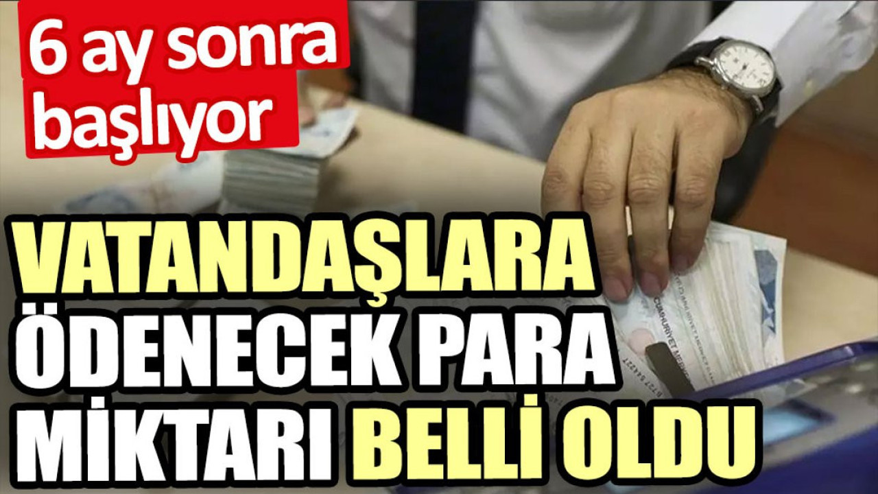 Vatandaşlara ödenecek para miktarı belli oldu. 6 ay sonra başlıyor