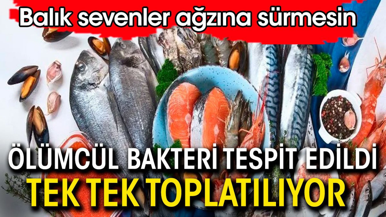 Ölümcül bakteri bulundu tek tek toplatılıyor. Balık sevenler ağzına sürmesin