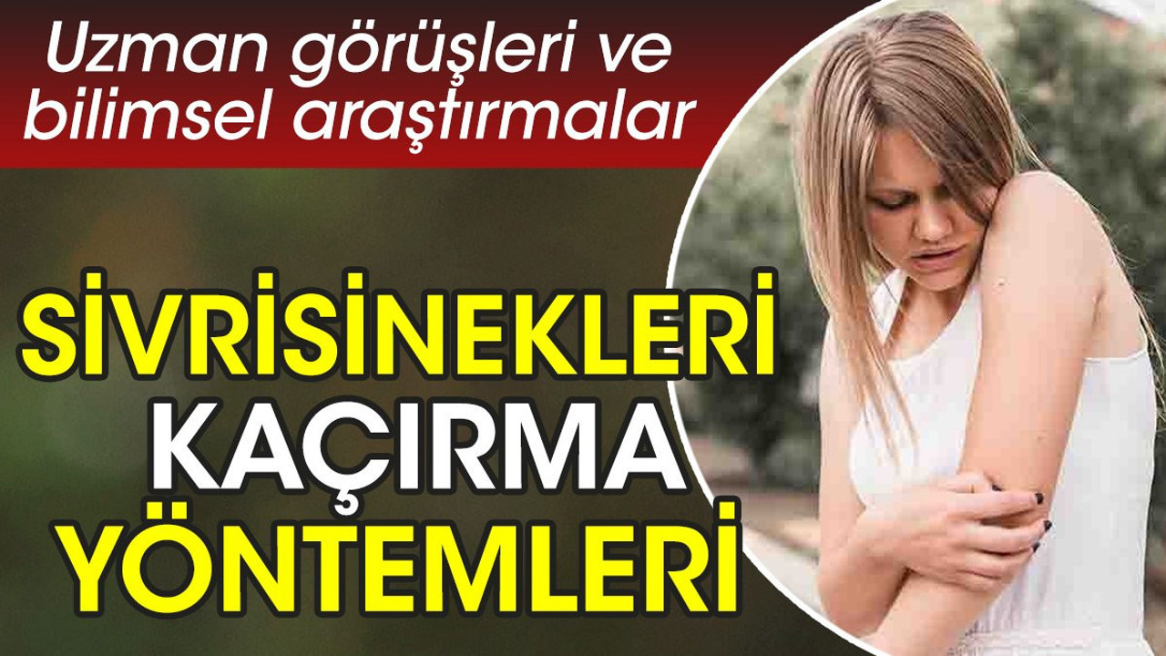 Sivrisinekleri kaçırma yöntemleri uzman görüşleri ve bilimsel araştırmalardan ortaya çıktı