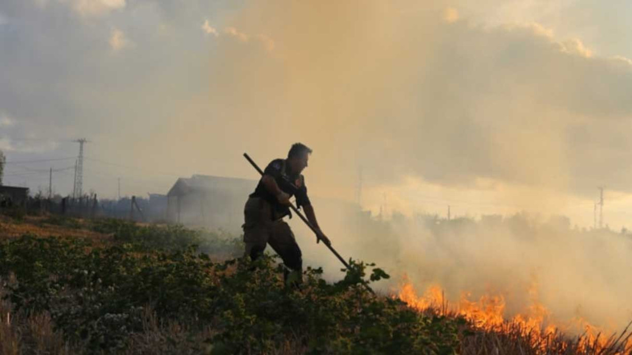İstanbul için AKOM'dan uyarı. Orman yangınlarına dikkat
