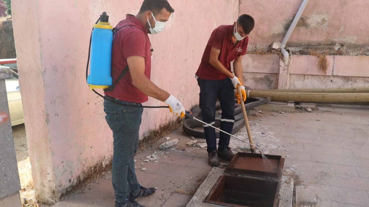 Haşereyle mücadele çalışmaları sürüyor