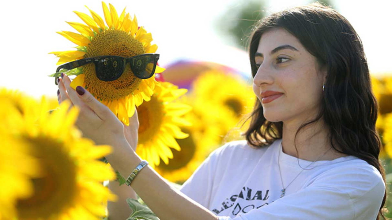 Trakya'da tarlalar turizme katkı sunuyor