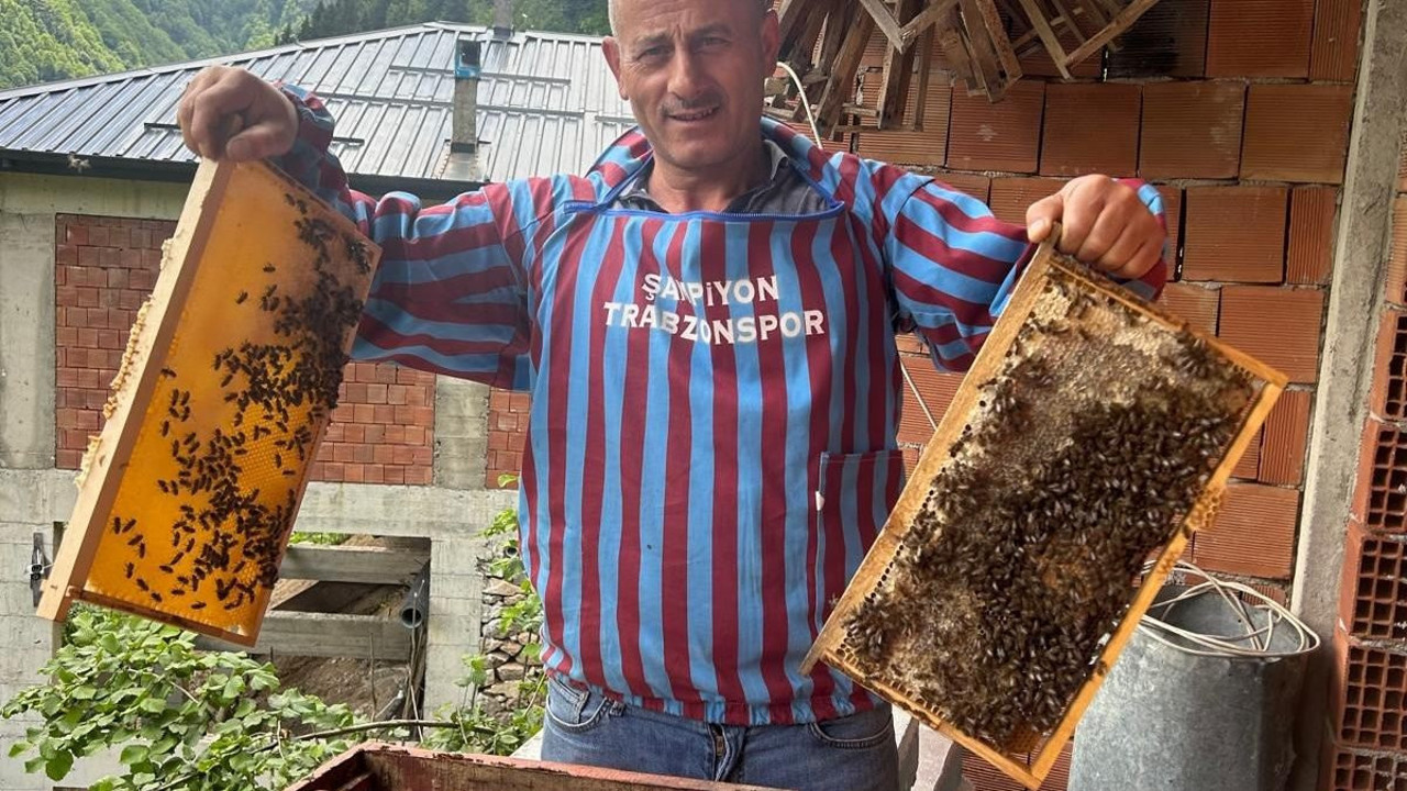 Yomralı arıcılar Anzer Balına rakip çıktı