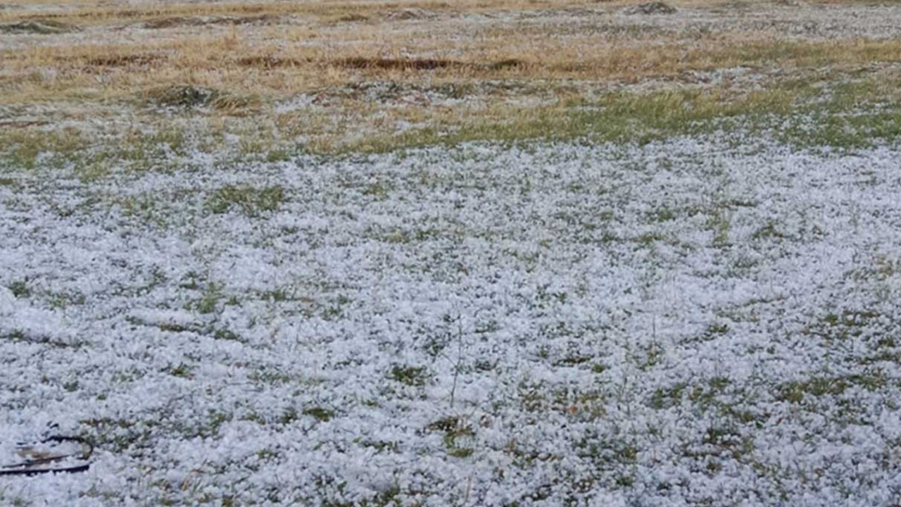 Ağrı'da dolu tarım arazilerini vurdu