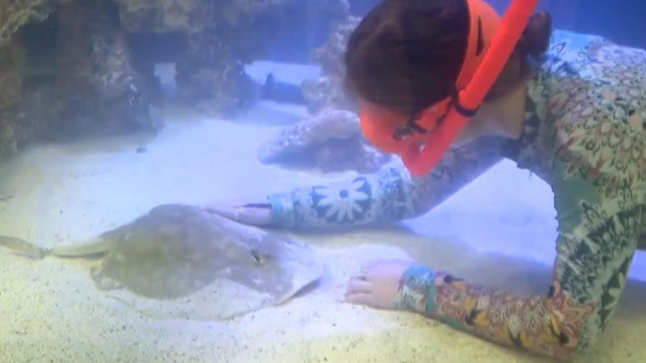 Erkeksiz hamile kalmıştı! Mucize Vatoz Charlotte’dan üzücü haber