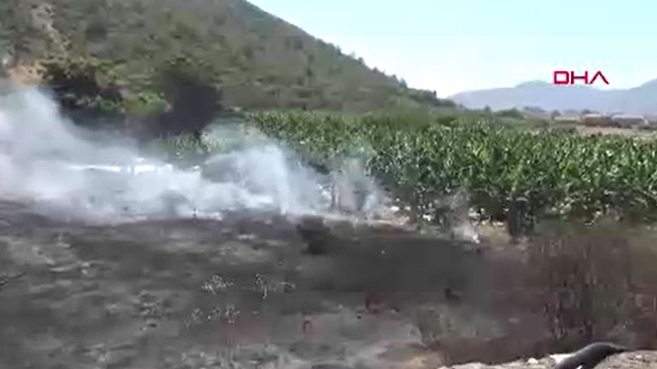 Antalya’da çalılık yangını