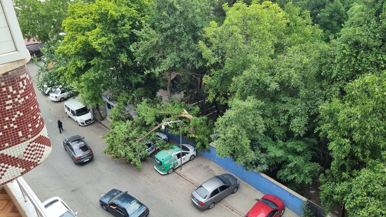 Siirt’i kuvvetli rüzgar vurdu! Araçlar...