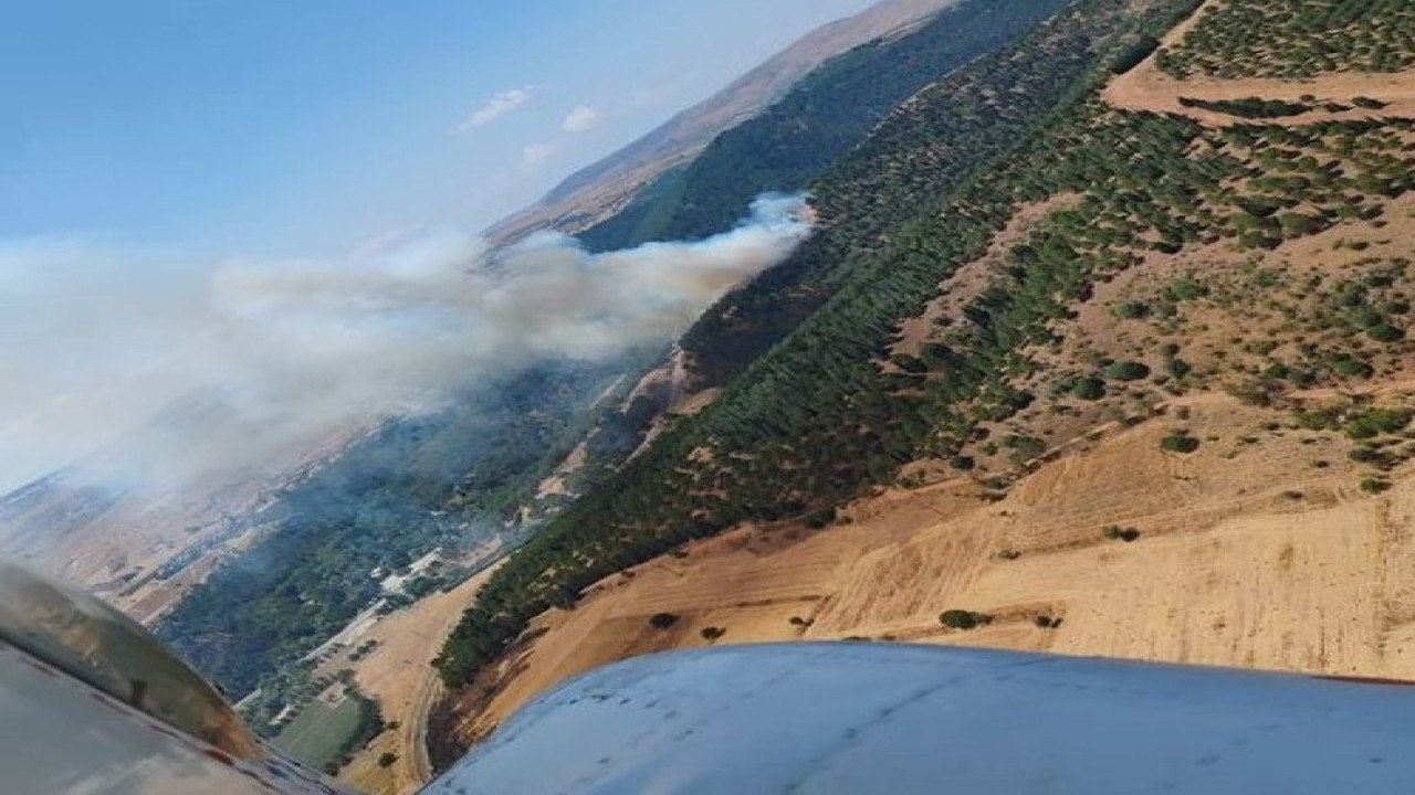 Balıkesir'de orman yangını (13 Temmuz 2024)