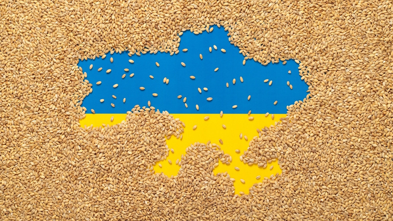 Ukrayna tahılına Moldova'dan vize çıktı