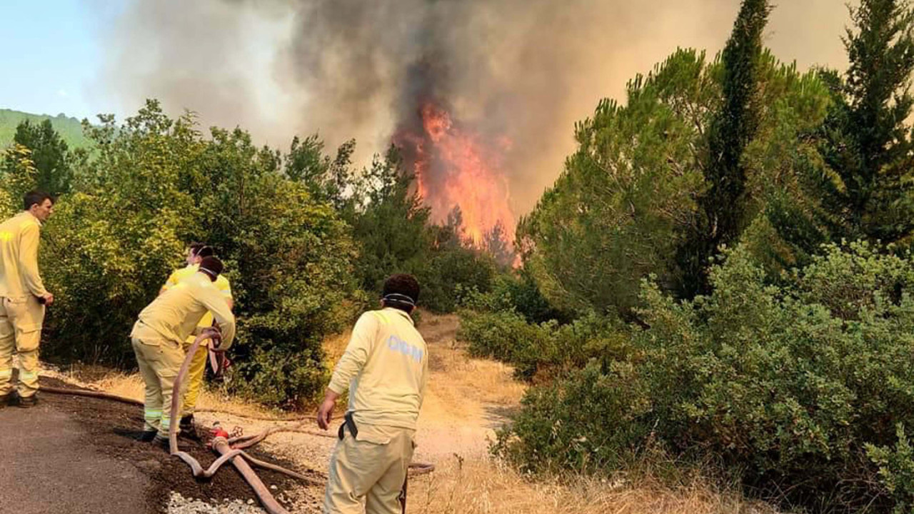 Balıkesir'de orman yangını (17 Temmuz 2024)