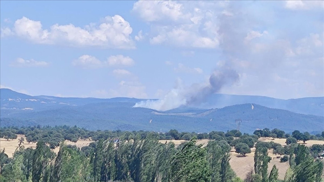 Kütahya'da orman yangını (18 Temmuz 2024)