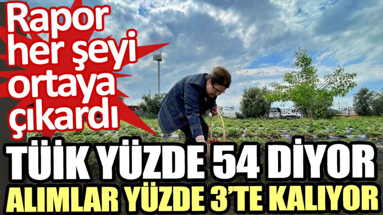 TÜİK yüzde 54 diyor, alımlar yüzde 3’te kalıyor. Rapor her şeyi ortaya çıkardı