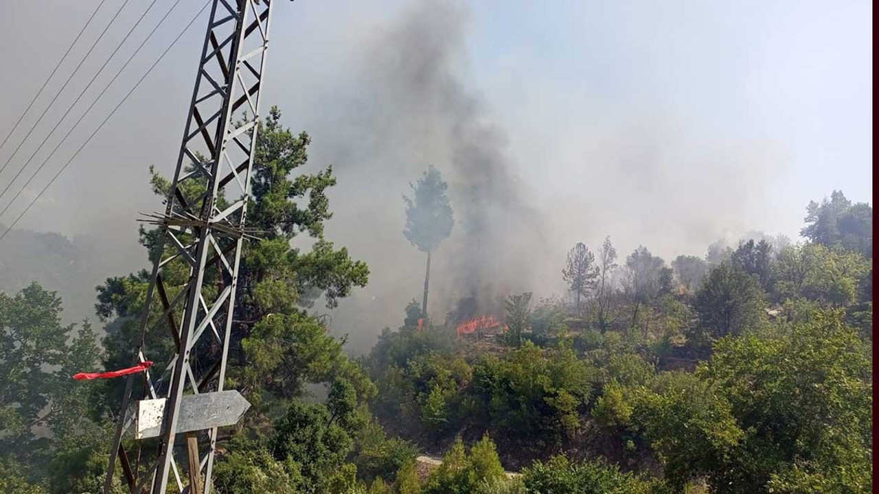 Evde çıkan yangın ormana sıçradı