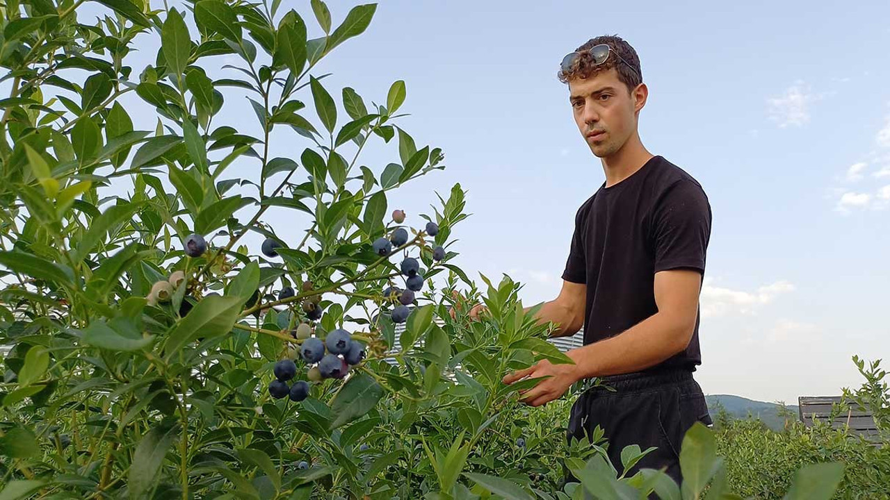 3 yıl sonra ilk meyvesini verdi. Üniversite öğrencisi paraya para demiyor.
