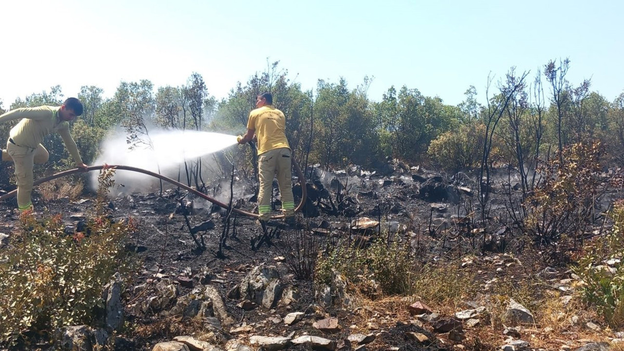 Muğla'da yangın (01 Ağustos 2024)