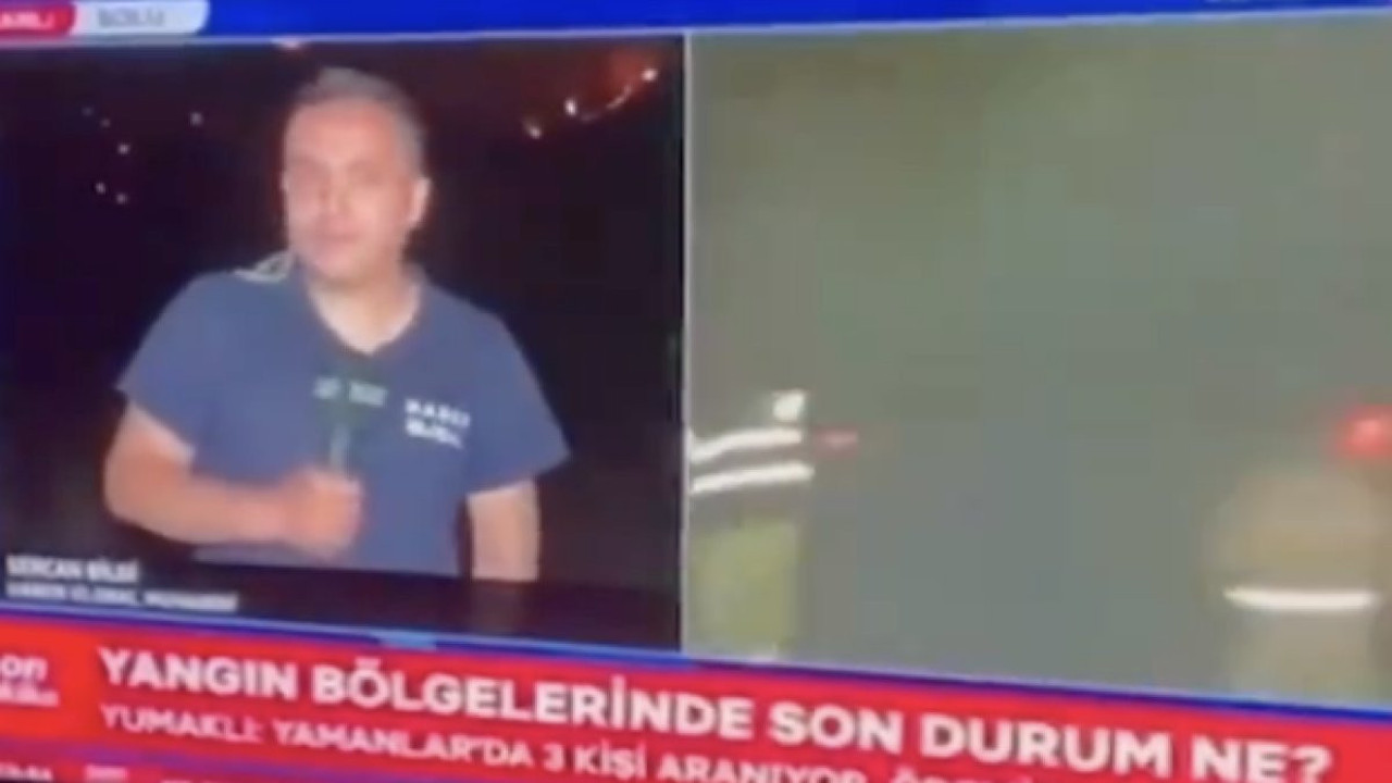 Yangın devam ederken sokak köpeklerini hedef gösterdi tepki topladı