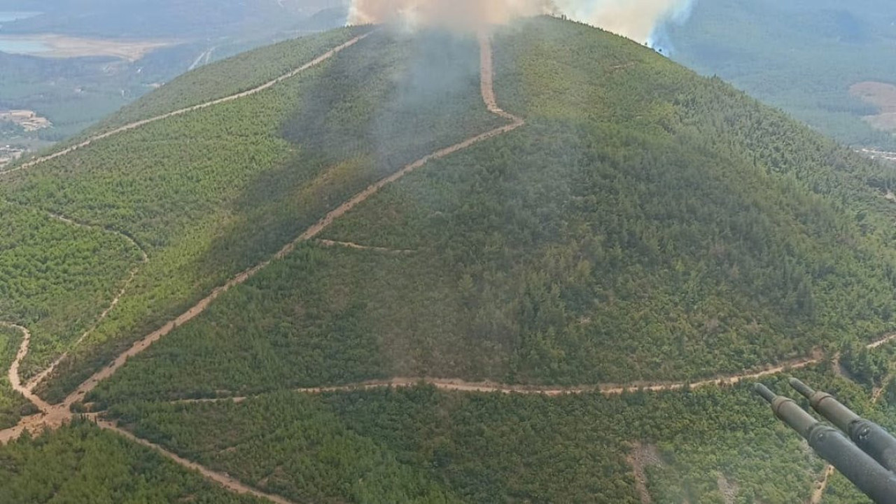 Menderes’te orman yangını