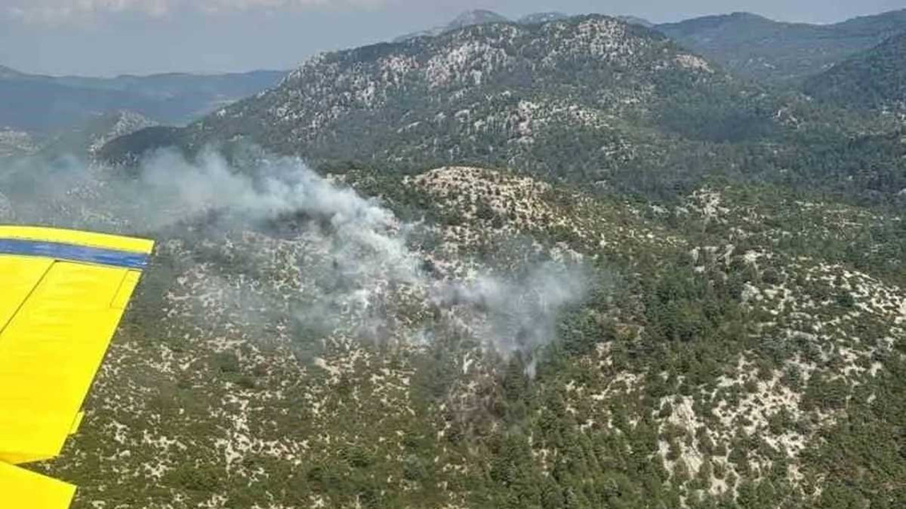 Burdur’da yıldırım düşmesiyle çıkan orman yangını havadan ve karadan yapılan müdahale ile söndürüldü