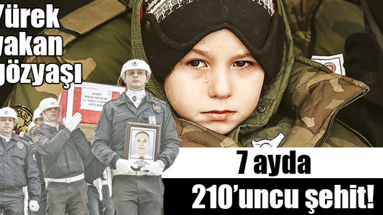 Bedenlerini vatan için siper ettiler