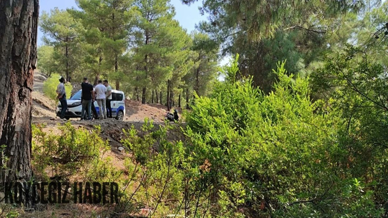 Bebeğin ormana terk edilmesine ilişkin 2 şüpheliye gözaltı