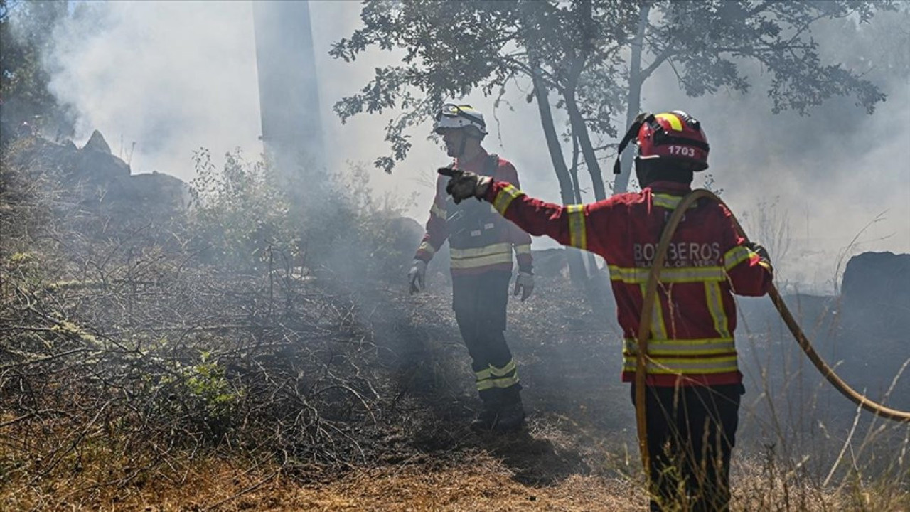 Portekiz’de orman yangınları: Ölü sayısı 7’ye Yükseldi