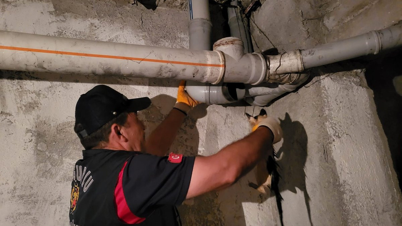 Gider borusuna sıkışan yavru kediyi itfaiye kurtardı