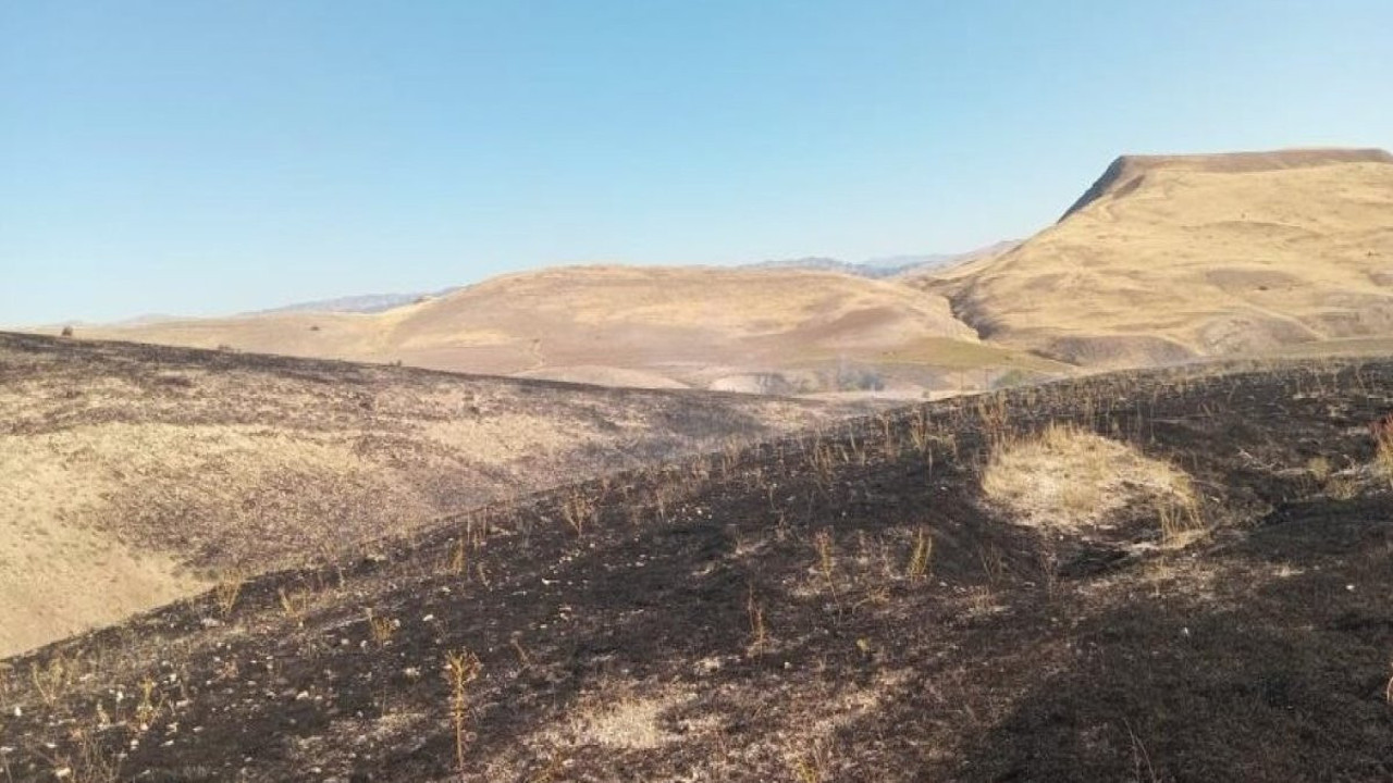 Arguvan’da anız yangını (28 Eylül 2024)