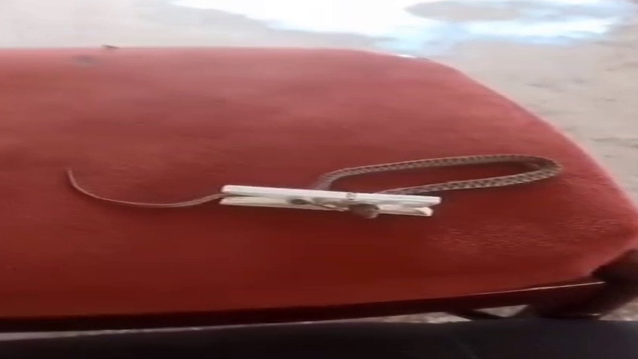 Evine giren yılanı çamaşır mandalı ile yakaladı