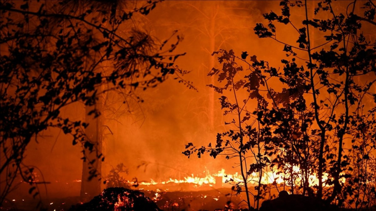 1 milyon dönüm kül oldu