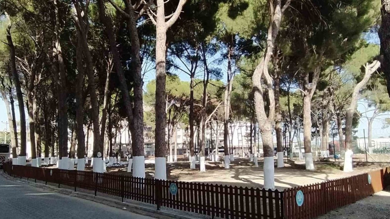 Büyükşehir tescilli tarihi Muradiye Mezarlığı’na sahip çıktı