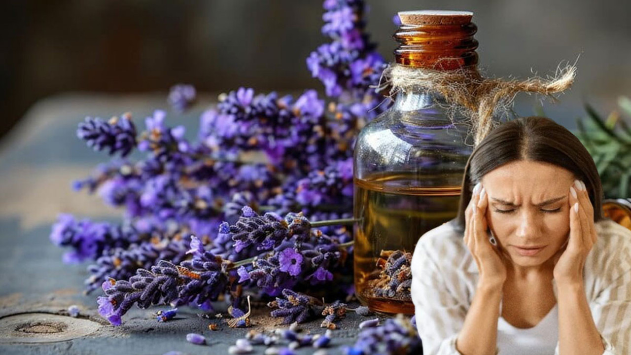 Binlerce yıl öncesinden keşfedildi! Stres ve anksiyeteye derman oluyor