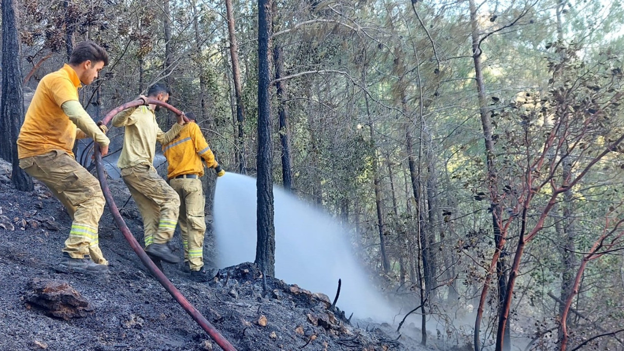 Mersin'de çıkan orman yangını kontrol altına alındı (18 Ekim 2024)
