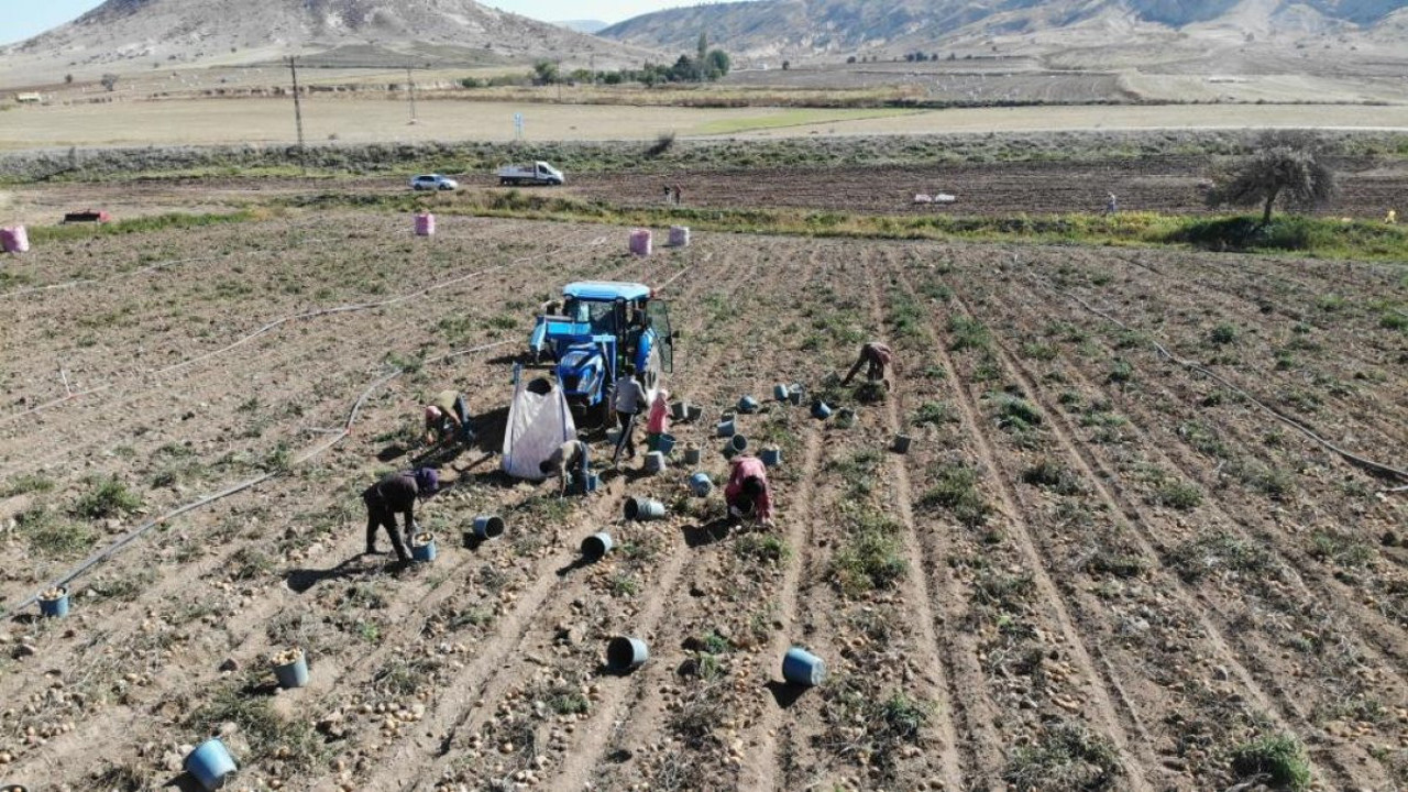 Tarlada 2 lira, pazarda 10 lira