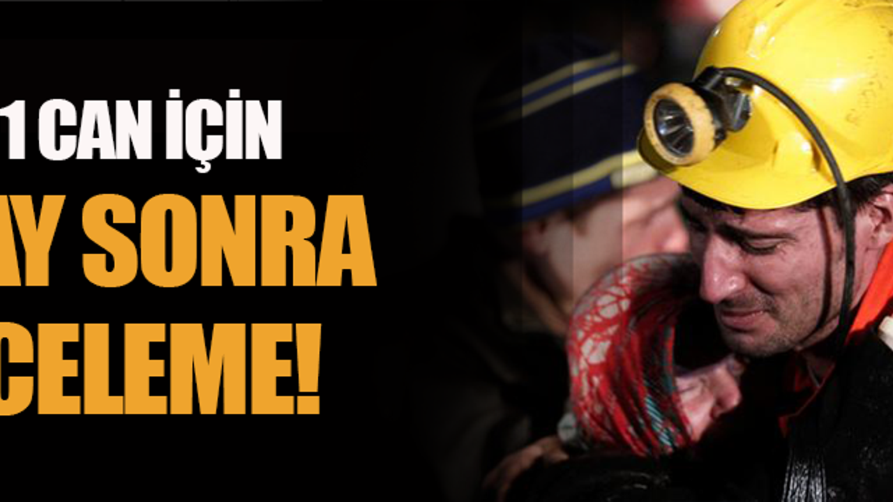 301 can için 20 ay sonra inceleme!