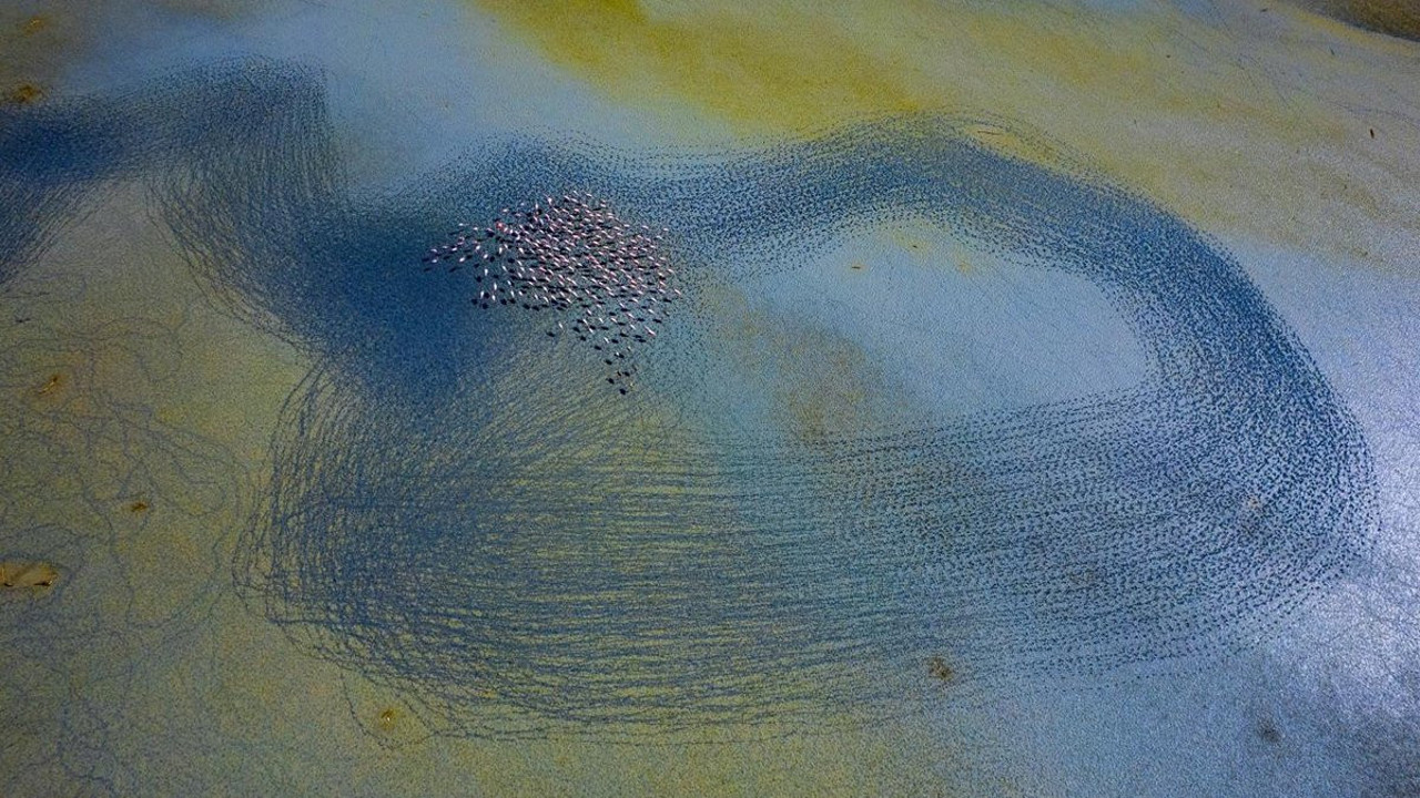 “İlk Öğretmenim Doğa”