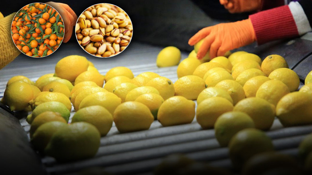 Fıstık, mandalinadan sonra şimdi de limon... Rusya’nın iade ettiklerini bize mi yedirecekler?