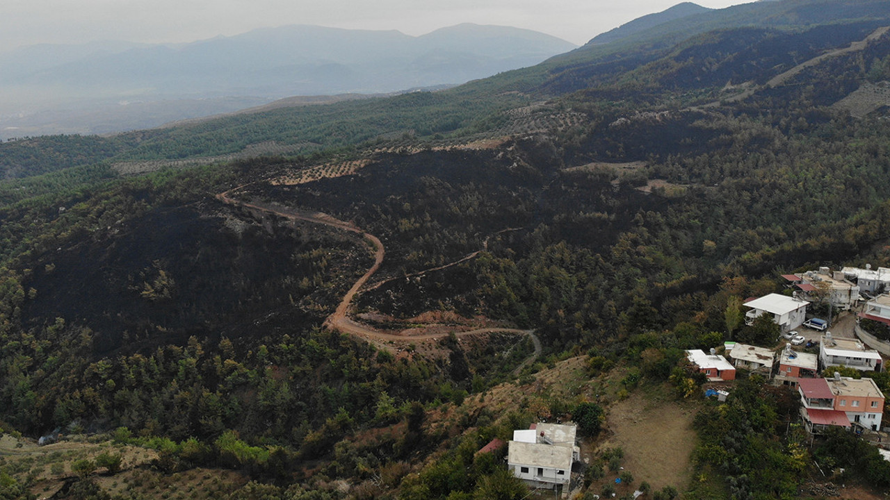 Zarar gören 95 hektar alan drone ile görüntülendi