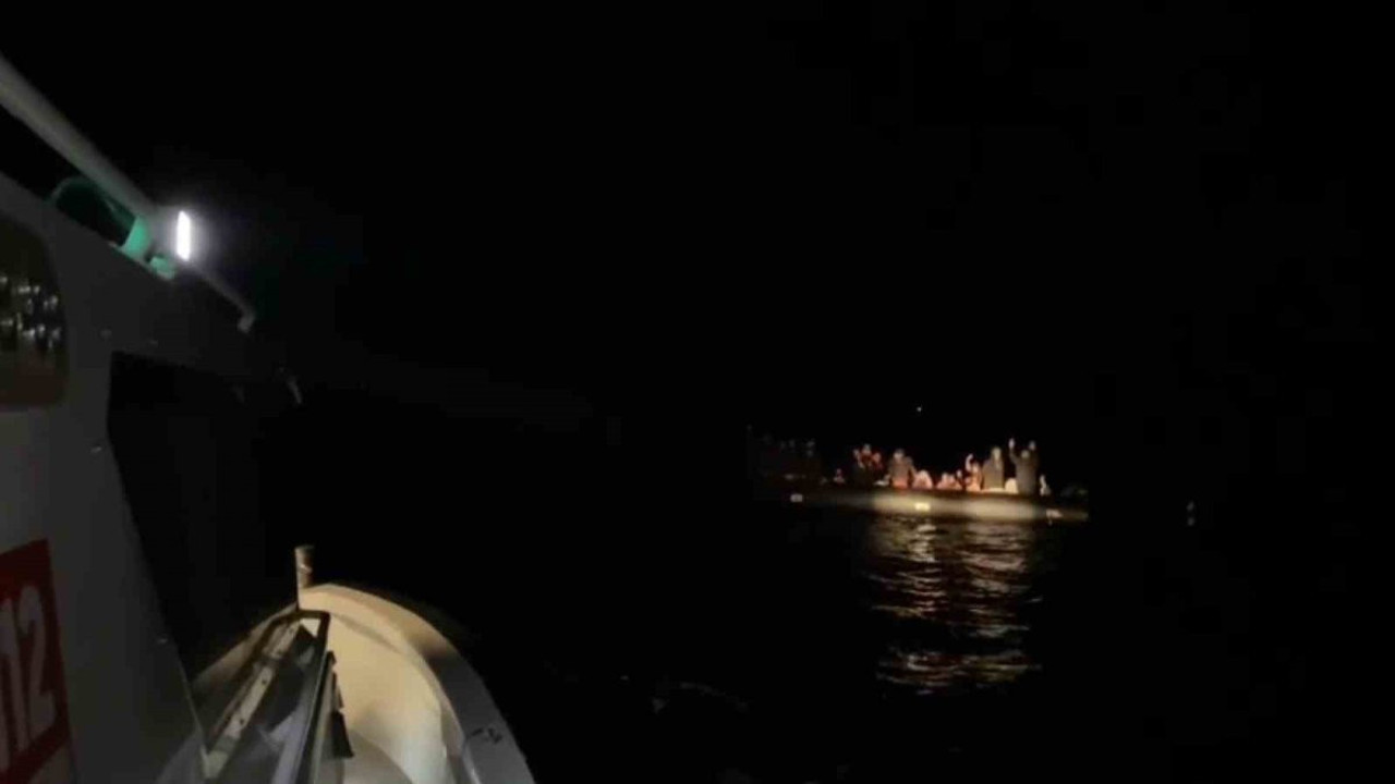 Aydın’da 28 kaçak ekipler tarafından kurtarıldı