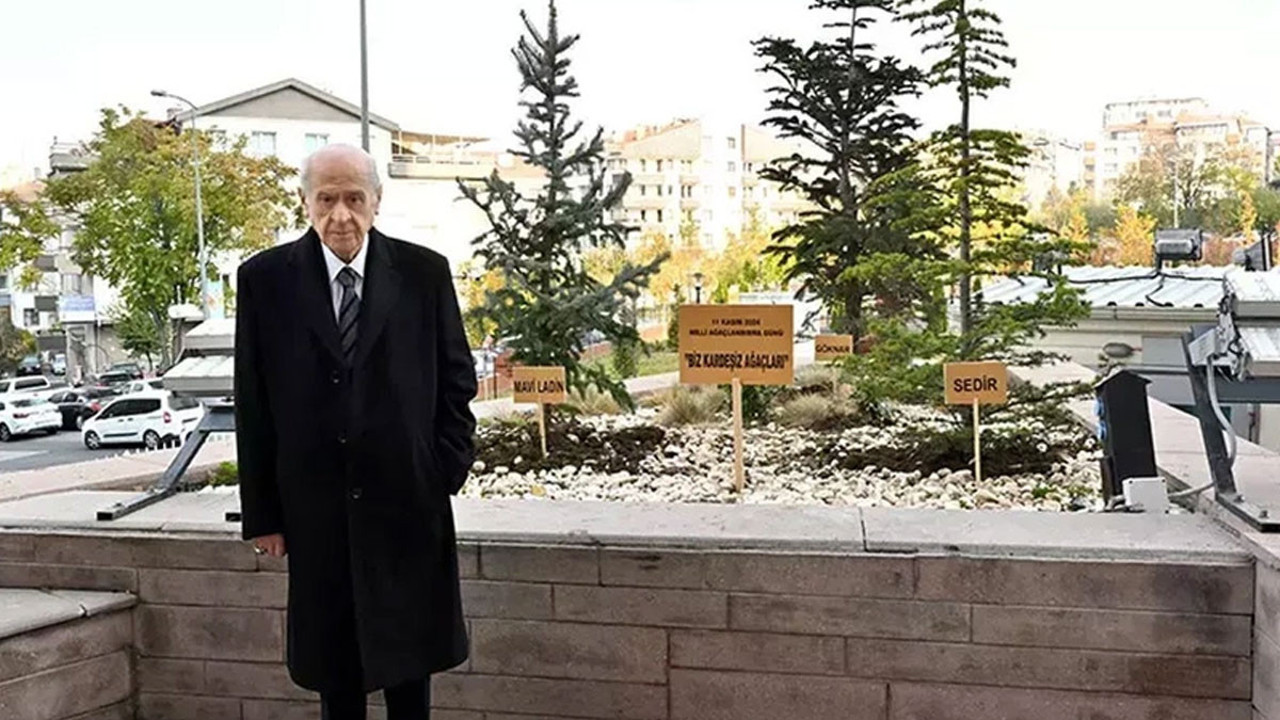 Devlet Bahçeli Genel Merkez önüne ağaç dikti. Anlamını eş kenar üçgenle anlattı