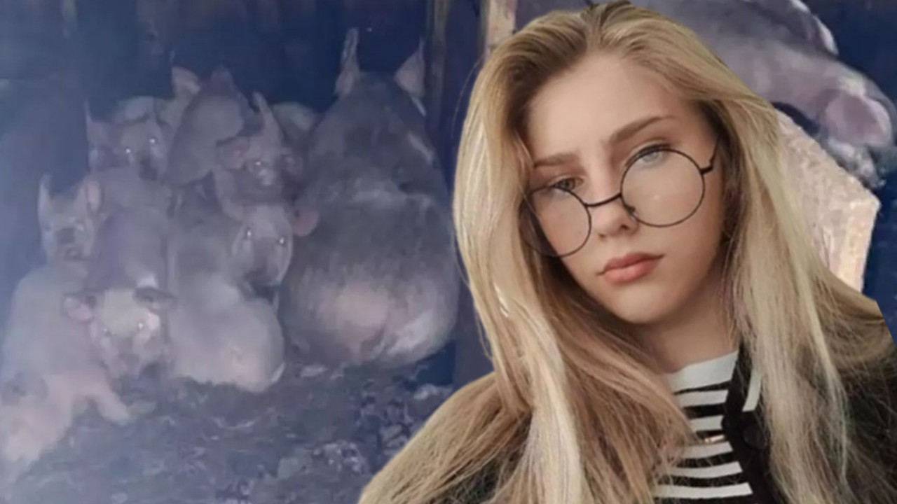 Domuzları beslerken canından oldu