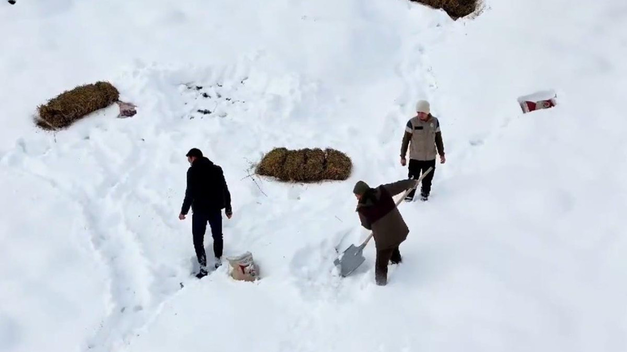 Erzincan’da doğaya yem bırakıldı