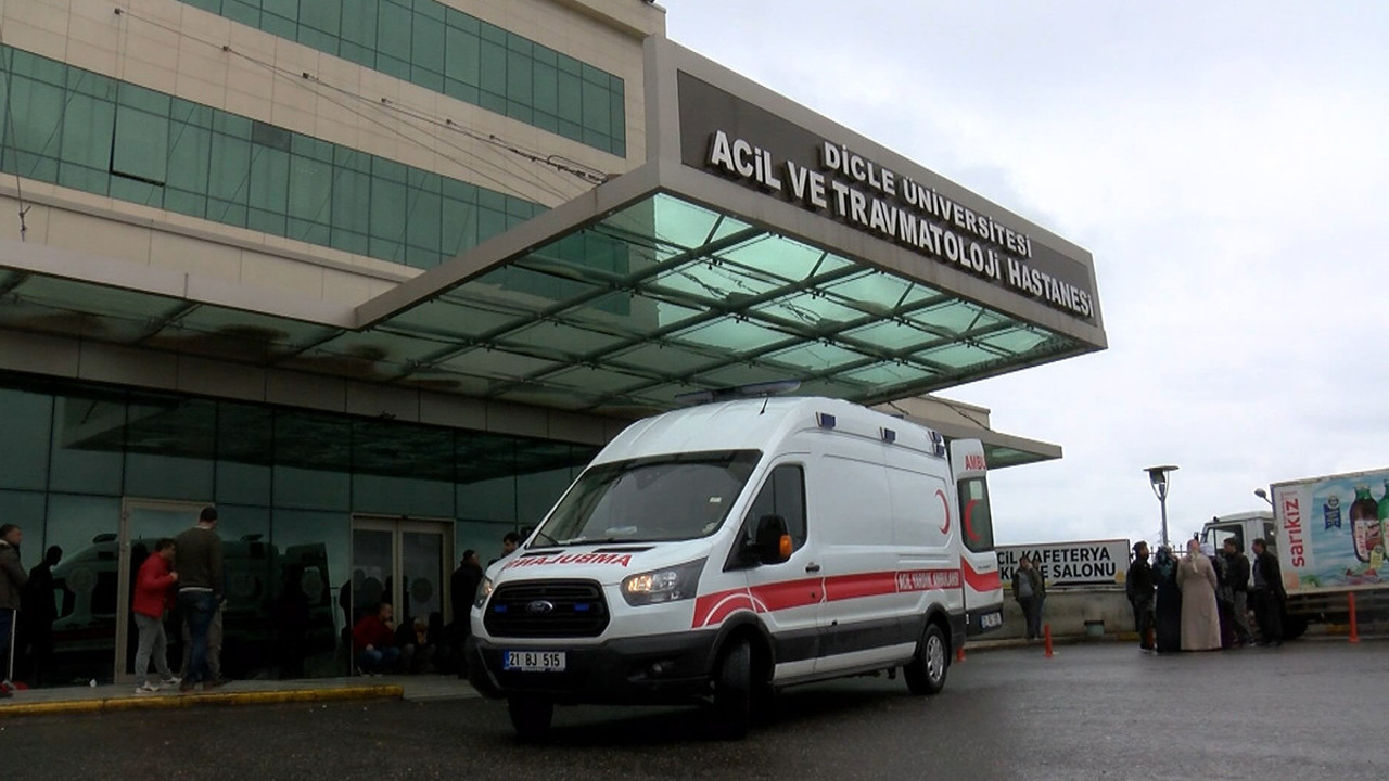 Diyarbakır Lice’de dehşet: 2 kardeşini öldürdü babasını yaraladı