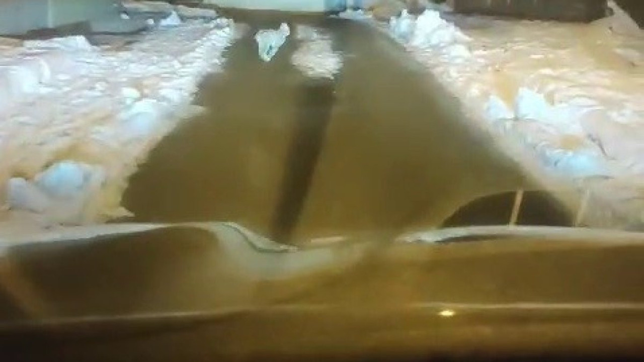 Yiyecek arayan vaşak cep telefonuyla görüntülendi