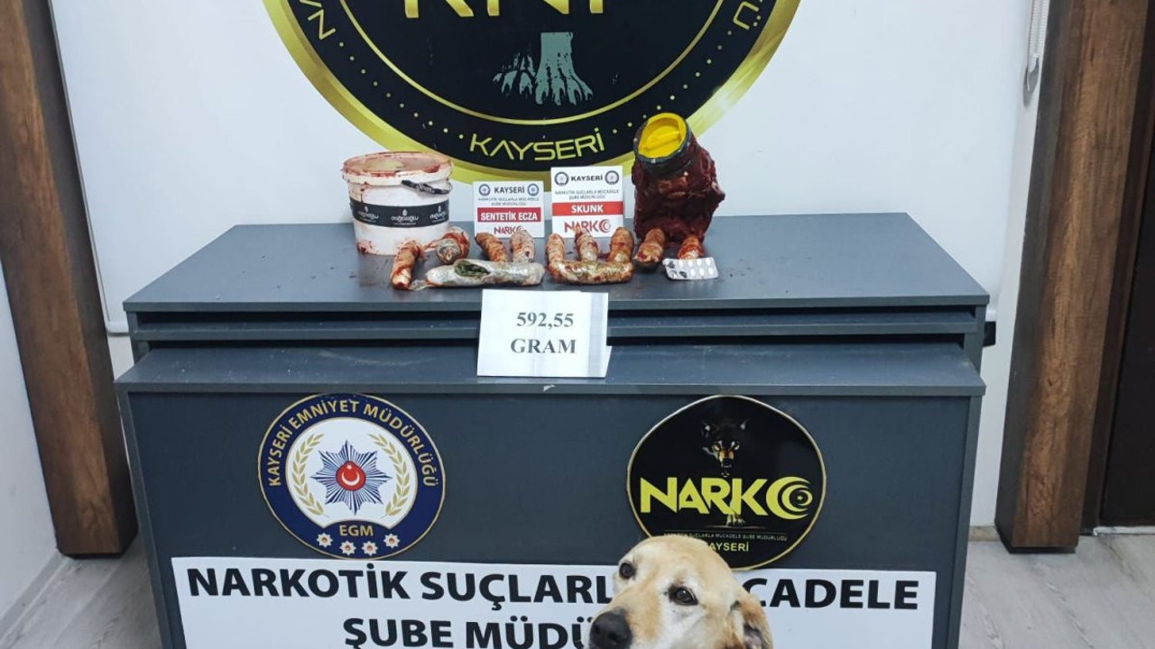 Narkotik köpeği Jack uyuşturucuyu öyle bir yerde buldu ki!